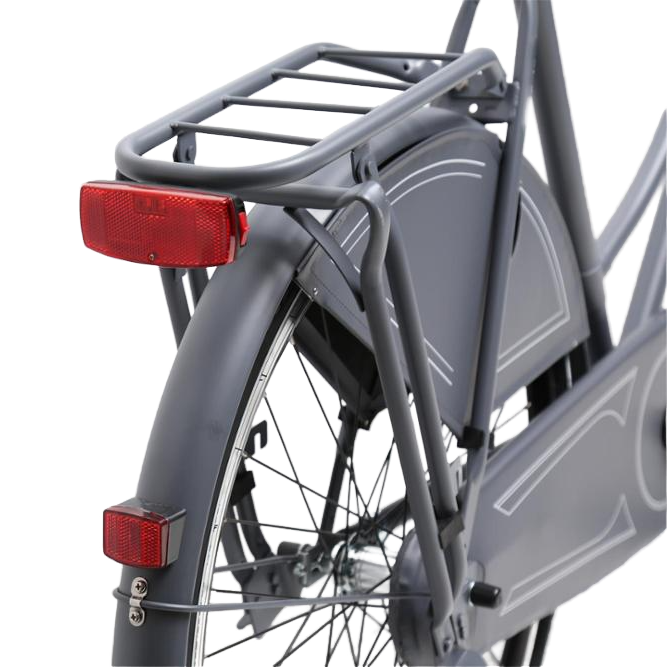 3. ASHEN-GREY CUSTOM WHEELS: ADULT CITY BIKE.