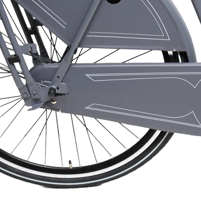 3. ASHEN-GREY CUSTOM WHEELS: ADULT CITY BIKE.