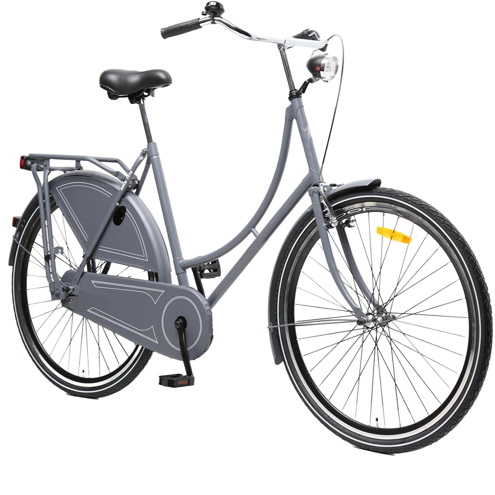 3. ASHEN-GREY CUSTOM WHEELS: ADULT CITY BIKE.