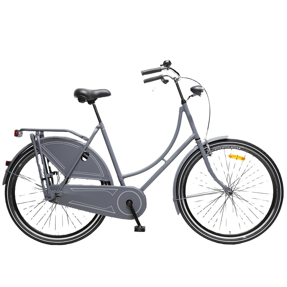 3. ASHEN-GREY CUSTOM WHEELS: ADULT CITY BIKE.